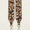 Anse Cesar Leopard