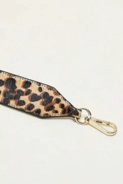 Anse Cesar Leopard