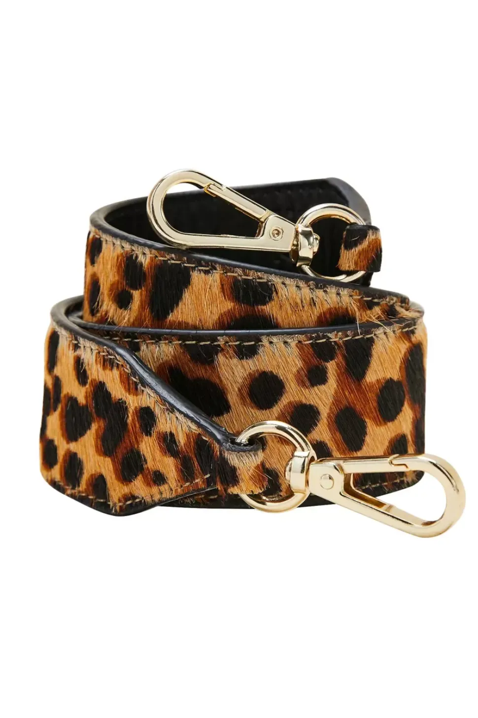Anse Cesar Leopard